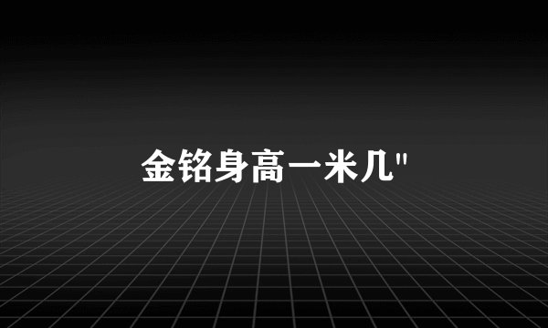 金铭身高一米几