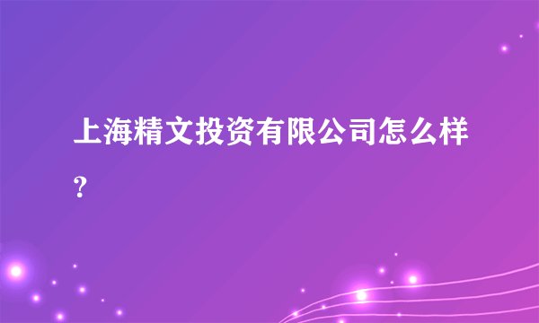 上海精文投资有限公司怎么样？