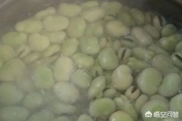 新鲜胡豆怎么保存很长时间?