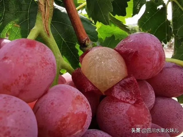 农村做什么生意好？