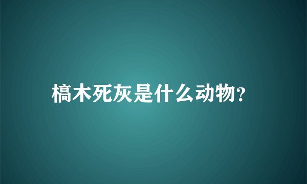 槁木死灰是什么动物？
