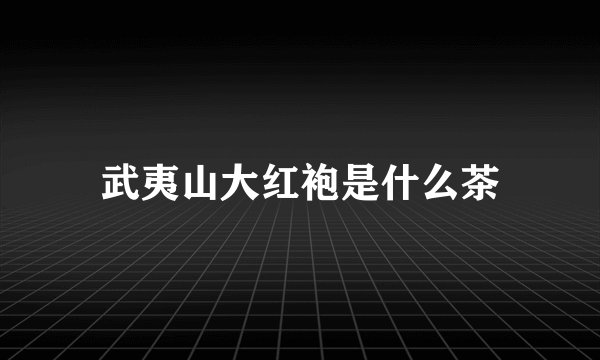 武夷山大红袍是什么茶