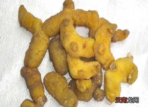 黄精的产地有哪些？
