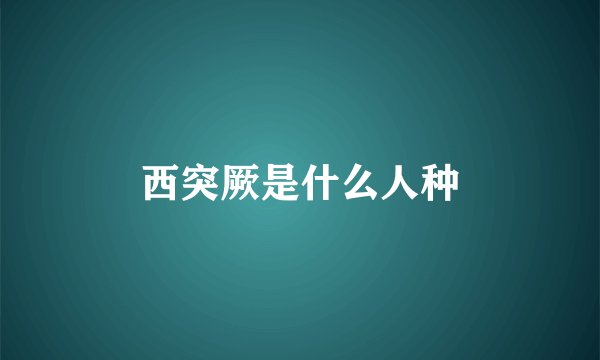 西突厥是什么人种