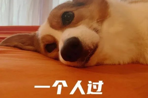 单身狗要怎样开心地过七夕?