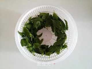 青酱 【意式Pesto】
