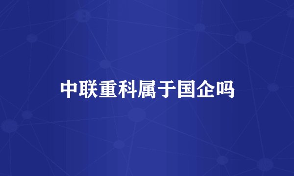 中联重科属于国企吗