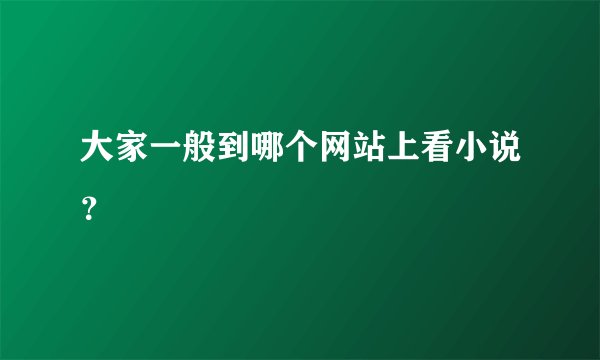 大家一般到哪个网站上看小说？