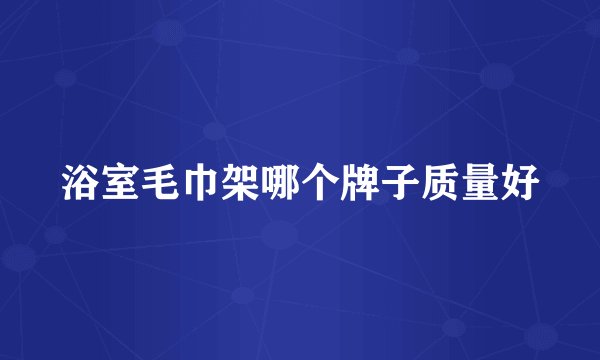 浴室毛巾架哪个牌子质量好