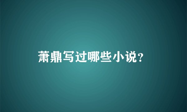 萧鼎写过哪些小说？