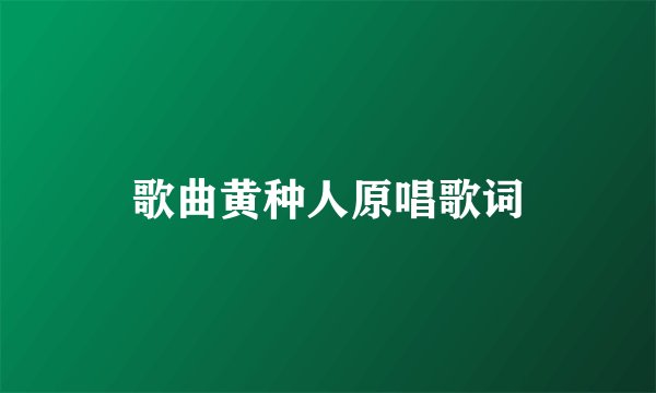 歌曲黄种人原唱歌词