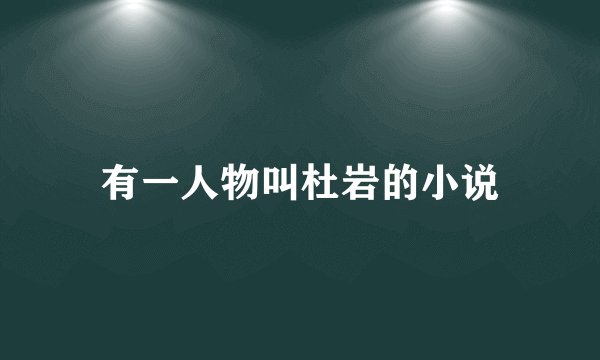 有一人物叫杜岩的小说