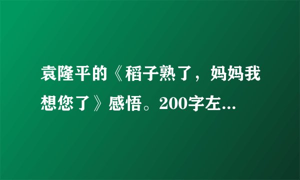 袁隆平的《稻子熟了，妈妈我想您了》感悟。200字左右。谢谢！！