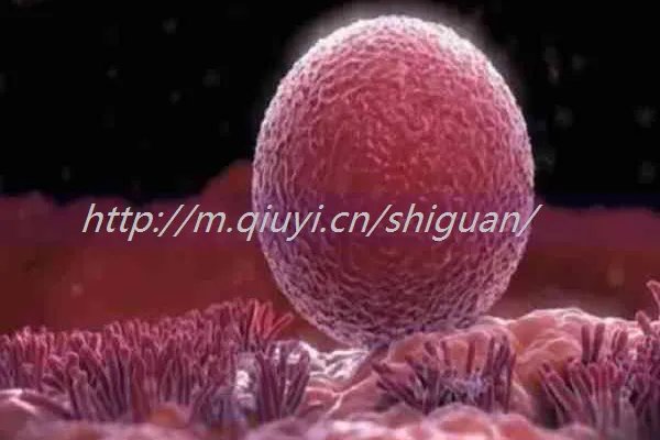北海三代试管可以排除哪些疾病_北海医院可以做试管吗