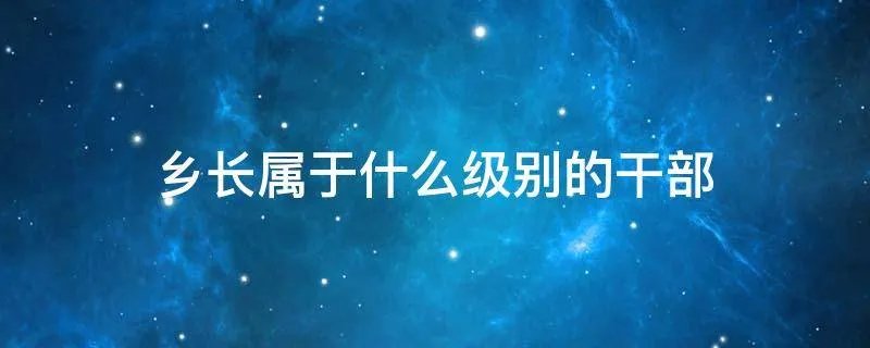 乡长属于什么级别的干部