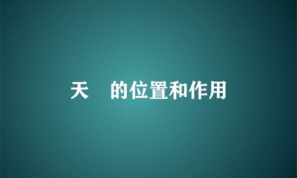 天髎的位置和作用