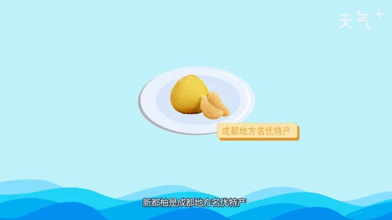 成都十大特产