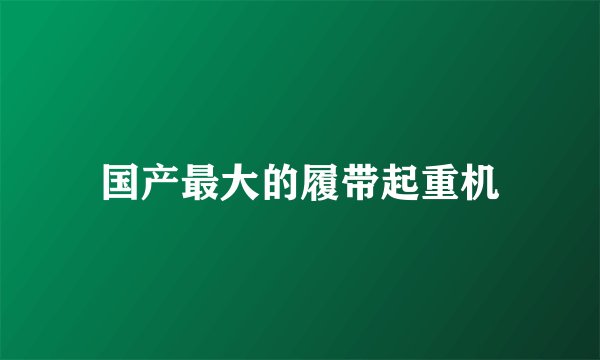 国产最大的履带起重机