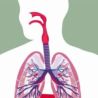 有哪些治肺癌的药