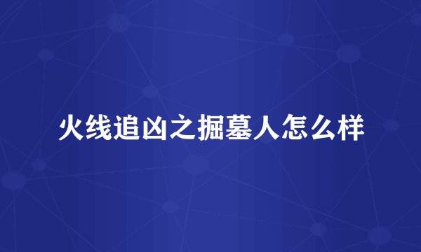 火线追凶之掘墓人怎么样