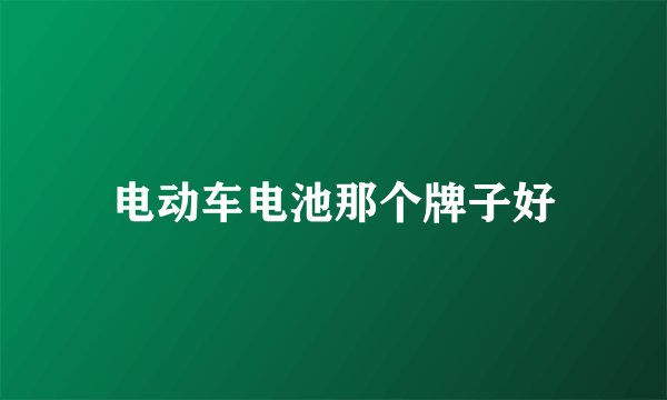 电动车电池那个牌子好
