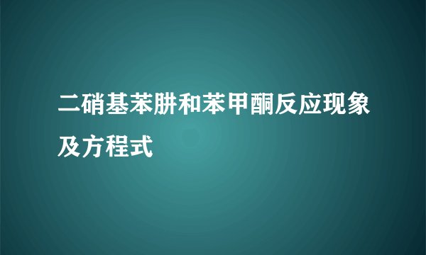 二硝基苯肼和苯甲酮反应现象及方程式