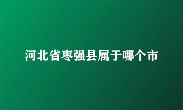 河北省枣强县属于哪个市