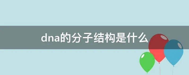 dna的分子结构是什么