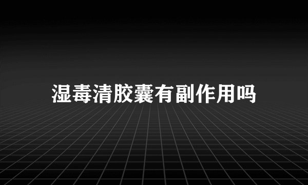 湿毒清胶囊有副作用吗