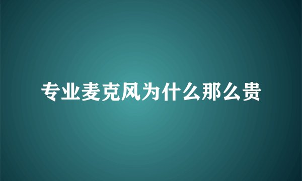 专业麦克风为什么那么贵