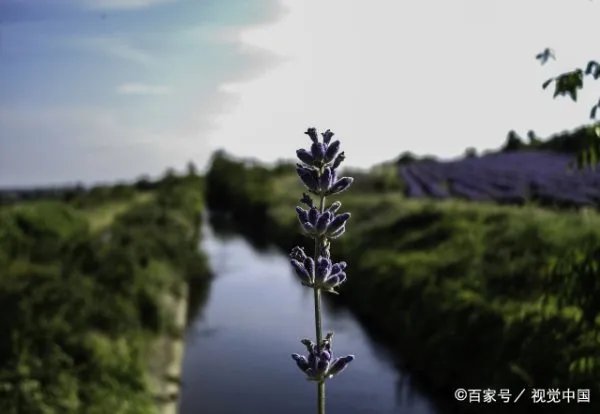 神舟十三号航天员乘组第二次出舱活动，他们当时的状态如何？
