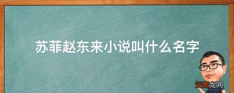 苏菲赵东来小说叫什么名字