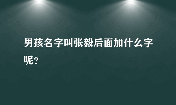 男孩名字叫张毅后面加什么字呢？