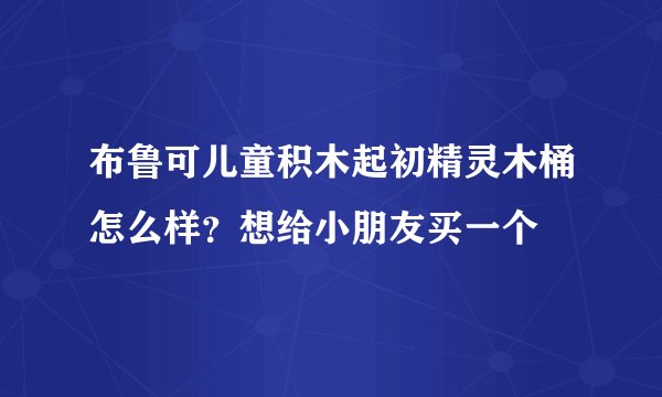 布鲁可儿童积木起初精灵木桶怎么样？想给小朋友买一个