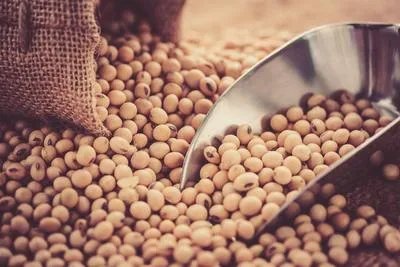 黄豆枕头治疗颈椎病吗 颈椎病选择枕头要点详述