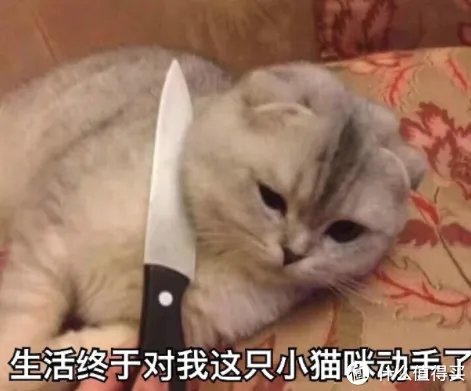 最好用的修照片软件有哪些？