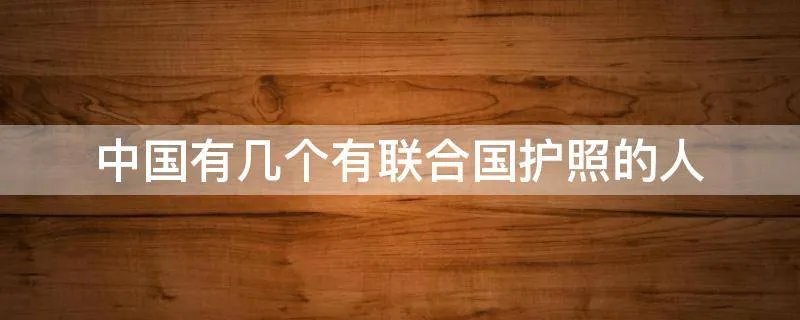 中国有几个有联合国护照的人