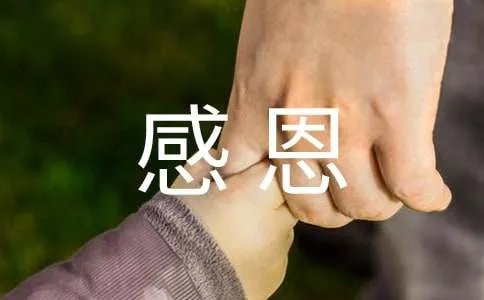 感恩的心征文