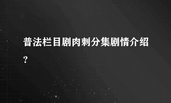 普法栏目剧肉刺分集剧情介绍？
