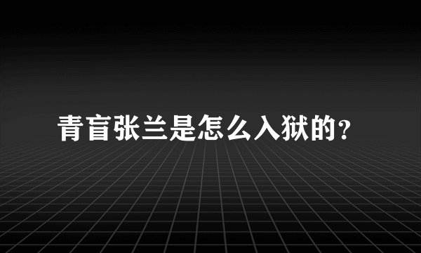 青盲张兰是怎么入狱的？