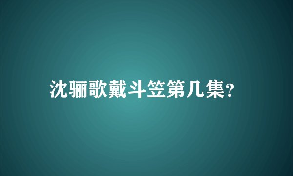 沈骊歌戴斗笠第几集？
