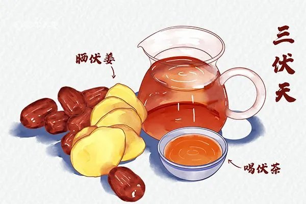 三伏天怎么排湿气寒气最好