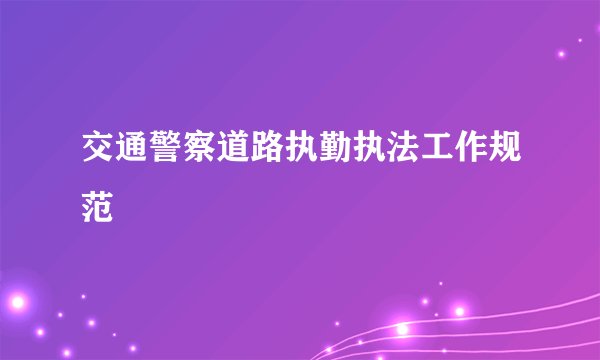 交通警察道路执勤执法工作规范