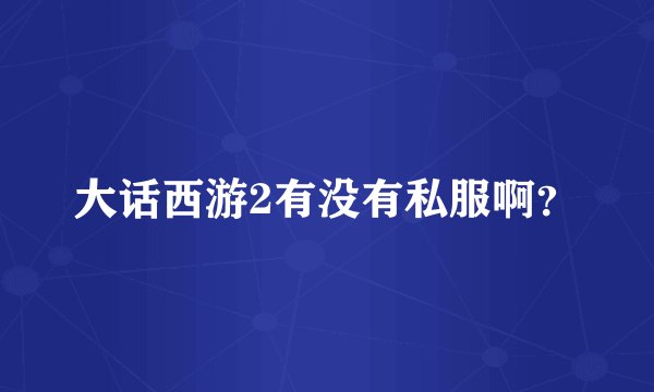 大话西游2有没有私服啊？