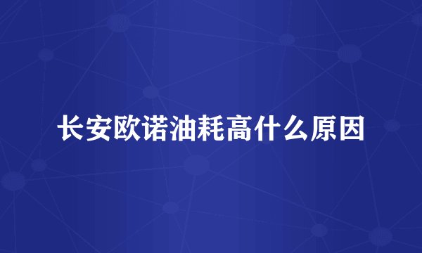 长安欧诺油耗高什么原因