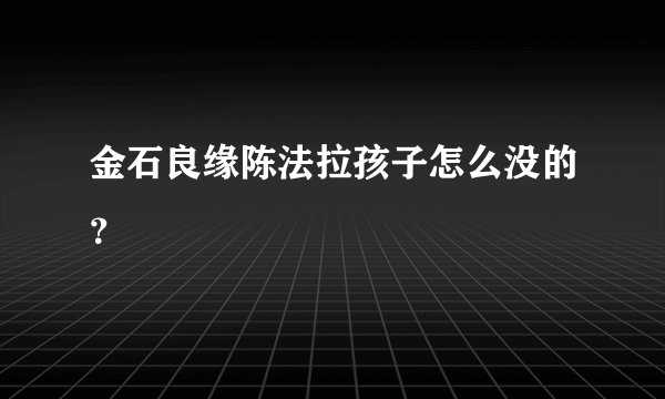 金石良缘陈法拉孩子怎么没的？