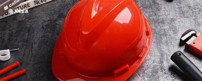 现代安全帽的发明是受到了什么动物的启发