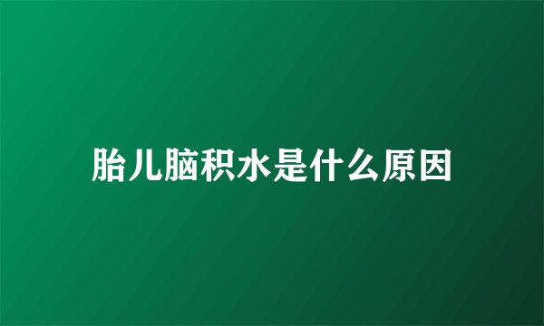 胎儿脑积水是什么原因