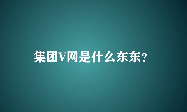 集团V网是什么东东？
