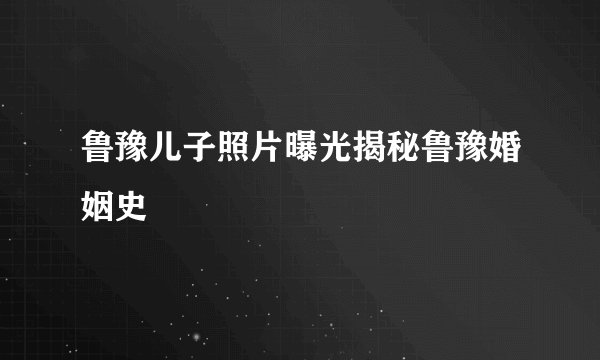 鲁豫儿子照片曝光揭秘鲁豫婚姻史